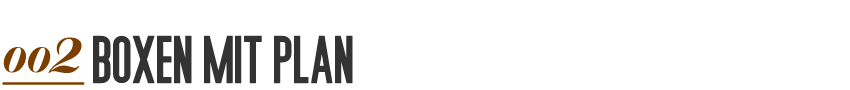 Boxen mit Plan - Der Trainingsplan zum Sieg